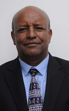 ETHIOPIA Prof. Mekonnen Hailemariam ALLPI